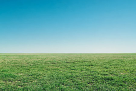 A vast green field stretches out under a clear blue sky showcasing the peaceful beauty of nature on a sunny day. The horizon appears distant enhancing the sense of openness.の素材