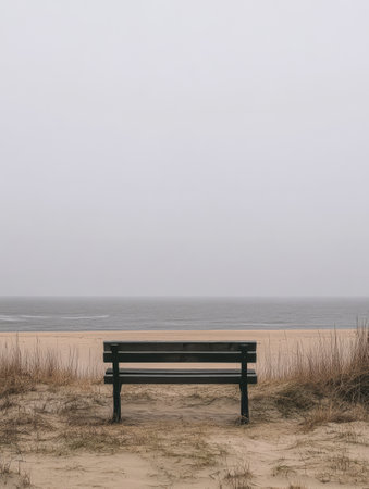A solitary black bench sits on a sandy beach framed by tall grass. The fog envelops the area creating a serene atmosphere as muted waves gently lap at the shore.の素材