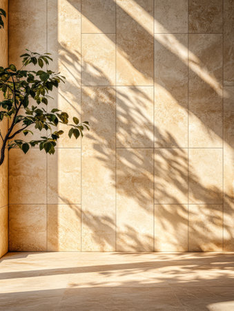 Sunlight filters through a tree creating intricate shadows on a smooth light-colored wall in a minimalistic indoor environment. The warm tones create a serene atmosphere.の素材