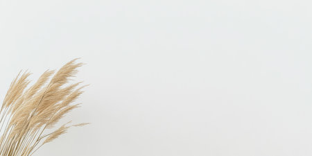 A bunch of dried grass is leaning against a blank white wall illustrating a calm and minimalist interior design. The soft texture of the grass adds warmth to the space.の素材