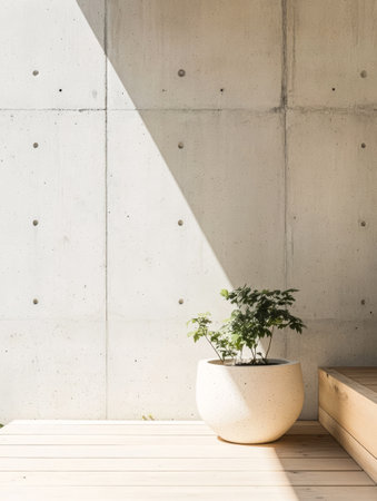 A round light-colored pot contains a small green plant placed on a wooden deck. The surface is bathed in soft natural light from a nearby source highlighting the concrete wall.の素材