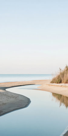 A serene beach view captures the gentle curves of a stream flowing into calm ocean water. Soft sand and sparse vegetation frame the relaxing coastal atmosphere during early morning light.の素材
