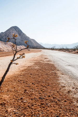 Stretching highway cuts through a dry desert landscape flanked by a single branch and distant mountains under a clear sky showcasing the arid beauty of the region in midday.の素材