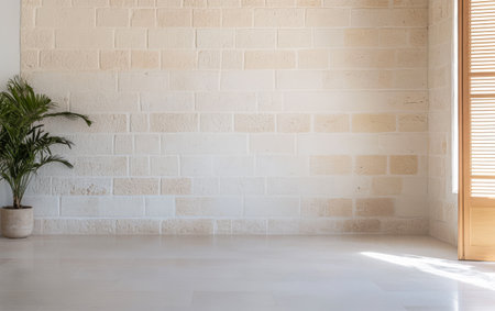 Soft sunlight filters through a wooden door illuminating a clean minimalist room with a textured stone wall. A potted plant adds a touch of greenery to the serene environment.の素材