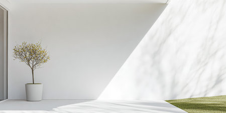A minimalist outdoor area showcases a slender potted plant beside a smooth white wall. Bright sunlight casts sharp shadows creating a tranquil atmosphere in a modern setting.の素材