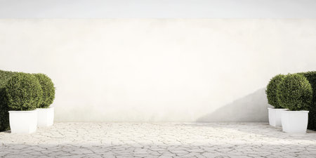 A tranquil outdoor area features neatly trimmed greenery in white pots flanking a smooth neutral wall. Sunlight casts soft shadows on the textured ground enhancing the peaceful atmosphere.の素材
