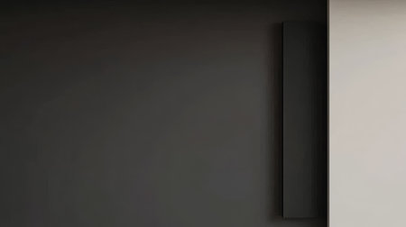 A space features a sleek black wall juxtaposed against a light-colored wall, highlighting contemporary design. The area embodies simplicity and elegance, emphasizing modern aesthetics.の素材