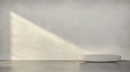 A single, round, white object rests on a smooth surface under soft, natural light, creating a tranquil ambiance in a minimalist interior space. Shadows play gently on the wall.の素材