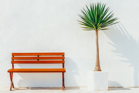 A wooden bench sits next to a tall potted palm tree next to a white wall. Sunlight casts shadows creating a serene and minimalistic outdoor atmosphere. Perfect for relaxation.の素材