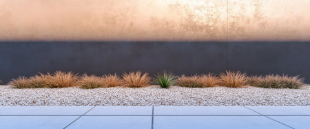 A sleek urban landscape showcases a minimalist design with decorative gravel and various ornamental grasses. The setting features a contrasting wall color enhancing the modern aesthetic.の素材