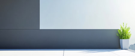 A clean minimalist setting showcases a potted plant resting on a grey floor beside a light and dark wall. Natural light highlights the simplicity and elegance of the space.の素材