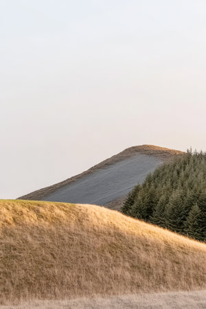 Gentle slopes rise in the distance covered with dry grass. A line of green trees stands against a fading light sky creating a peaceful natural view at dusk.の素材