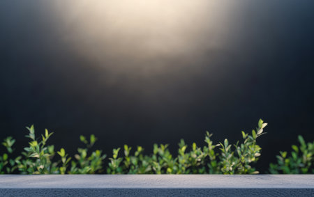 Lush green plants rise from a ledge illuminated by gentle morning light. The soft focus highlights the serenity of nature creating a peaceful atmosphere in an outdoor space.の素材