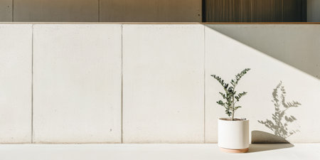 A single green plant sits in a white pot on a light-colored floor casting shadows on a textured concrete wall. The warm sunlight emphasizes the minimalist design and tranquility of the space.の素材