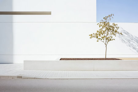 Bright daylight highlights a minimalist urban landscape where a lone tree stands next to a clean white wall. The simple design contrasts with the surrounding paved area creating tranquility.の素材