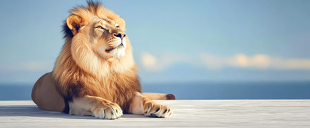 A lion lounges comfortably on a sunlit surface enjoying the warm sunlight and observing its surroundings. The backdrop features a serene body of water and distant mountains.の素材