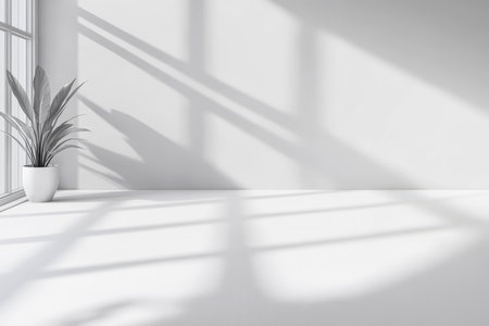 Natural sunlight fills a spacious bright indoor area casting soft shadows on the floor. A simple potted plant adds warmth and life to the minimalistic and clean aesthetic.の素材