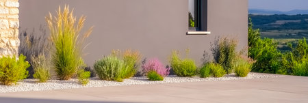 Brightly colored plants grow alongside a gray wall showcasing a modern landscaping design that highlights native vegetation. The scene is set during daylight with clear skies.の素材