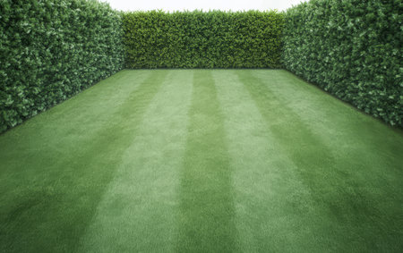 This backyard features a lush green lawn with clearly defined stripes surrounded by tall well-cut hedges providing privacy. The setting conveys a sense of tranquility and care.の素材