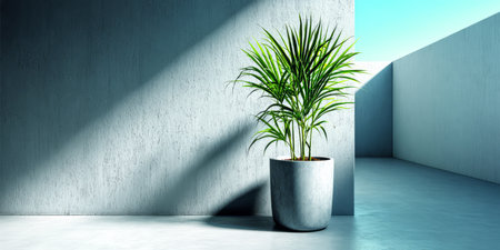 A tall green plant stands in a sleek pot against a concrete wall. Bright sunlight streams in from an open space casting shadows creating a serene atmosphere.の素材