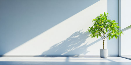 A potted plant stands alone in a sleek, modern interior, with sunlight filtering through large windows, casting shadows on the floor and wall during midday.の素材