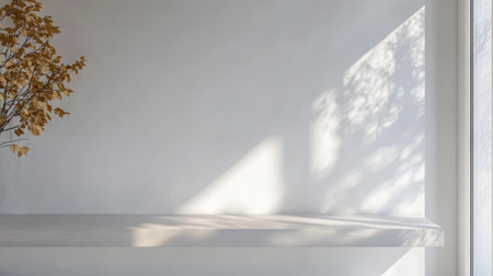 Bright sunlight filters through a window, creating delicate shadows on a clean white wall. A simple shelf holds dried leaves, enhancing the serene ambiance of the modern room.の素材