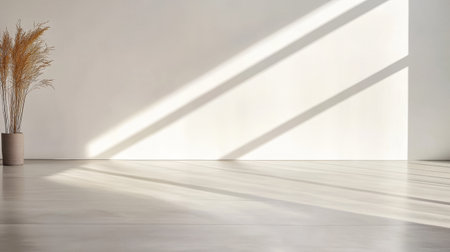 Soft sunlight streams through a window, casting long shadows on a clean, minimalistic floor. A decorative plant in a pot adds a touch of nature to the calm indoor setting.の素材