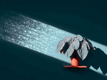 A vibrant indoor plant with striking leaves sits in a terracotta pot, illuminated by a shaft of sunlight. The warm light casts beautiful shadows on the wall, enhancing the tranquil setting.の素材