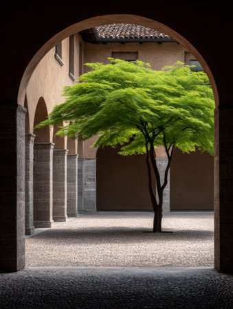 A lush green tree rises in the center of a tranquil courtyard, framed by old stone columns and warm-toned walls. Sunlight bathes the peaceful space, creating a calming atmosphere.の素材