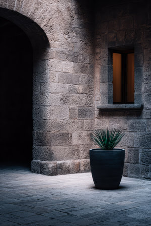 In a historical stone courtyard, a tall green plant sits in a sleek pot near a softly glowing window. The surrounding walls create a peaceful and serene atmosphere.の素材