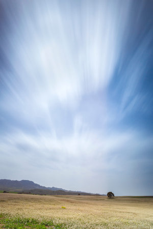 Beautiful photograph of a landscape with a tree and a long exposure in the sky
