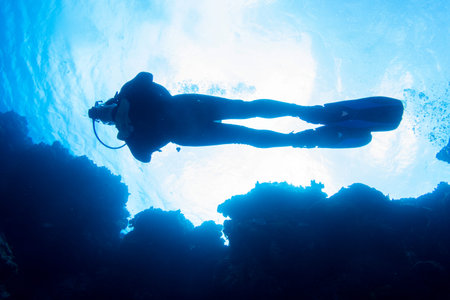 silhouette of a diver taken from below