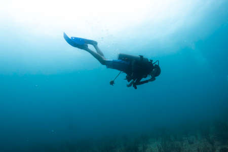 scuba diver in the caribbean sea enjoying the coral reefの写真素材