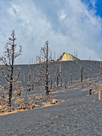 Volcanic landscape in La Palma island, Canary Islands, Spainの写真素材