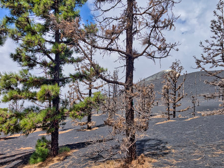 Volcanic landscape on the island of La Palma, Canary Islands, Spain with a view of Tajogaite Volcanoの写真素材