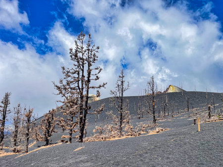 Volcanic landscape in La Palma, Canary Islands, Spain with a view of Tajogaite volcanoの写真素材