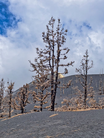 Crater of new volcano Tajogaite, La Palma, Canary Islands, Spain, Europe.の写真素材