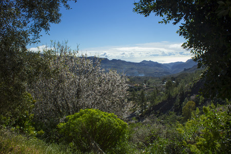 natural landscape of canary in the south of the island of Gran Canariaの写真素材