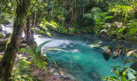 crystal clear turquoise stream in the jungleの写真素材