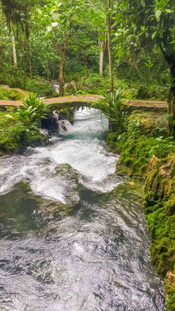 river passing under a rustic bridge in the jungleの写真素材