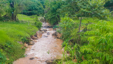 small stream going down in the jungleの写真素材