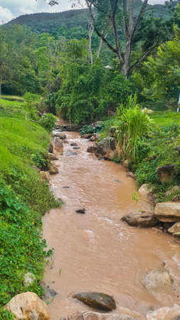 small stream going down in the jungleの写真素材