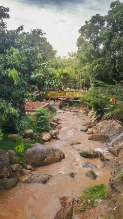 small stream going down in the jungleの写真素材