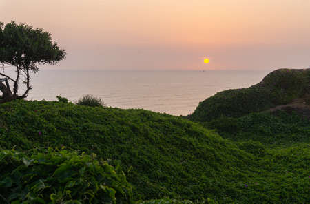 Sunset Landscape in the shore of Lima Peru, grass and a treeの写真素材