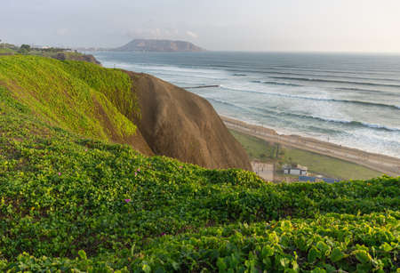 View of the ocean from the Miraflores District Peru, a cliff, tree and green grassの写真素材