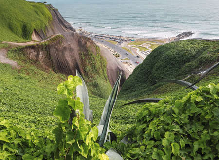 Landscape view of the ocean from Grau Park in Miraflores Lima Peru. Green leaves foreground. Costanera Road. Cliff full of green grassの写真素材