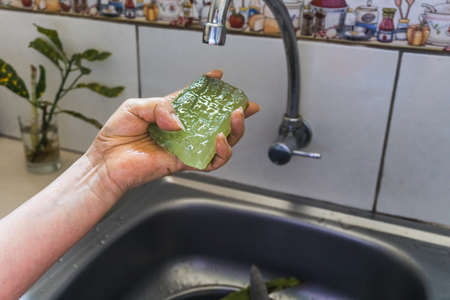 woman holding aloe gel in her hand, on a sink kitchen. Faucet pipe on a kitchen sink and plant in a glassの写真素材