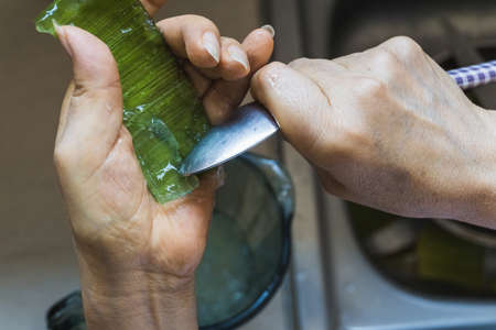 Unrecognizable adult woman pouring aloe gel into a blender jar with a spoon in a kitchenの写真素材
