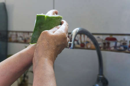 adult woman spreading aloe cortex on her hands with unfocused faucet kitchen and tiles backgroundの写真素材