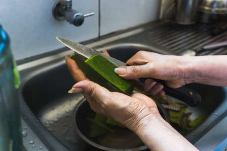 Unrecognizable adult woman cutting aloe plant in a kitchen sink using a knife, faucet backgroundの写真素材